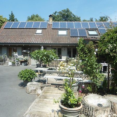帕斯帕特奥特公寓 Oedelem 外观 照片